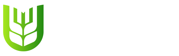龙珠直播-免费高清直播网_免费英超直播_在线西甲直播